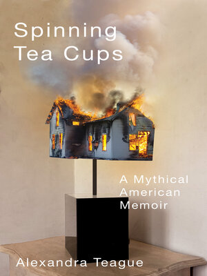 cover image of Spinning Tea Cups